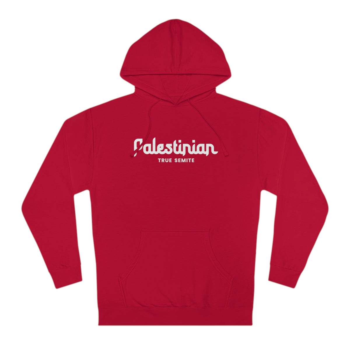 Palestinian Semite DCM WH Med Hoodies